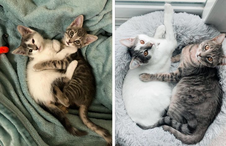 b297275e2b88e0a14fabaa7d4c