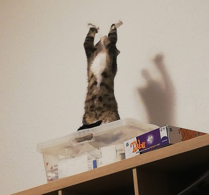 b29c935ac39b079beb52423b51 b29c935ac39b079beb52423b51