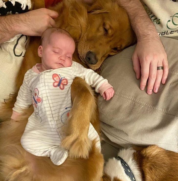 b2a41c5fb48c77b0511d53b20d