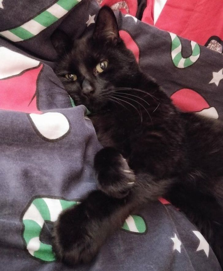 b2a470531aa4db3ed2ed309211