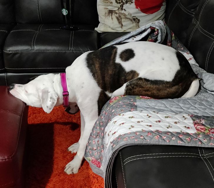 b2a7c6591bb37f736202b448ef