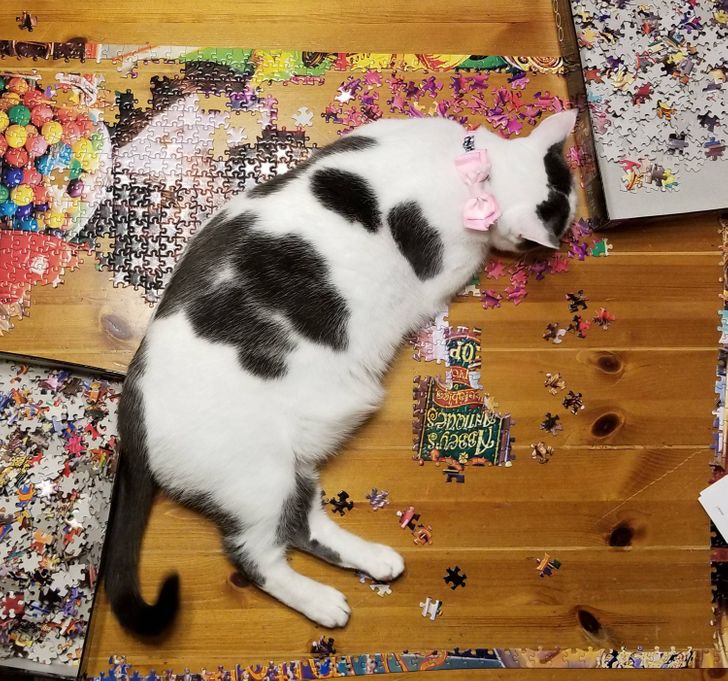 b2aa995cbc97f8f4cef3a0b966 b2aa995cbc97f8f4cef3a0b966