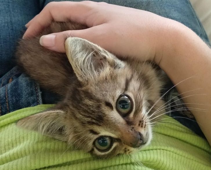 b2abfc5e0982fb38ee2082fbf5