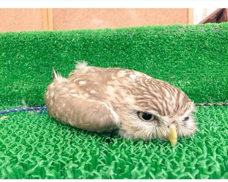 b2b5a05bd9947014350350093c