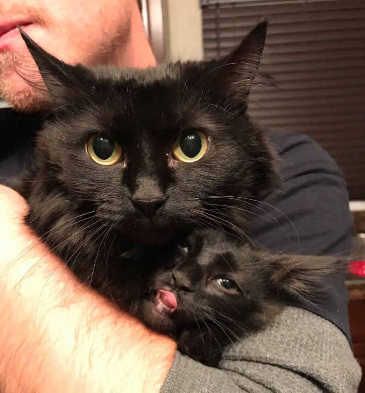 b2b5c45519b2a063df0d4623dd