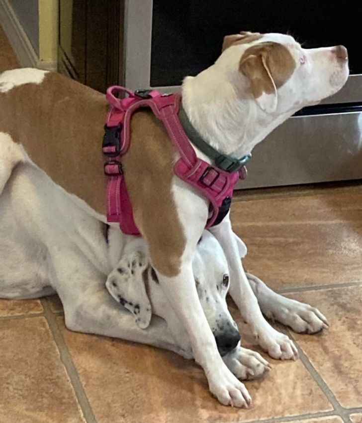 b2b645544bafe07fad0479c3ae