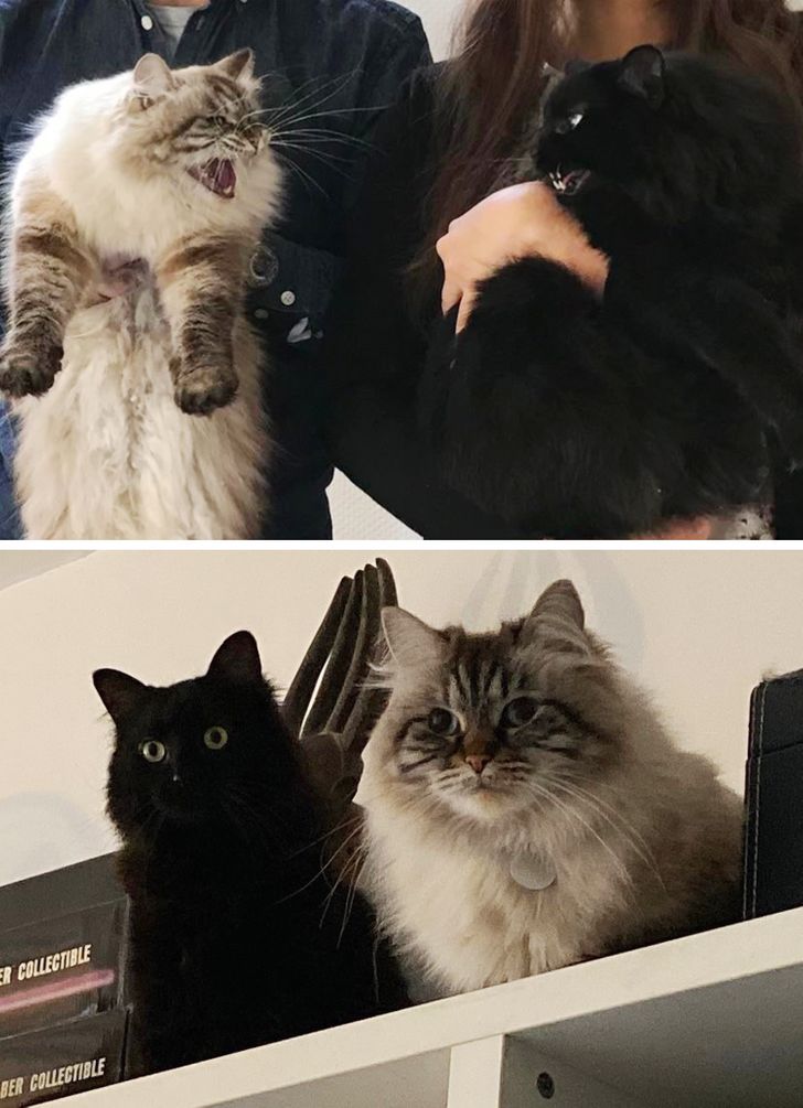 b2bec75d80aac4d27ac5608b2f b2bec75d80aac4d27ac5608b2f