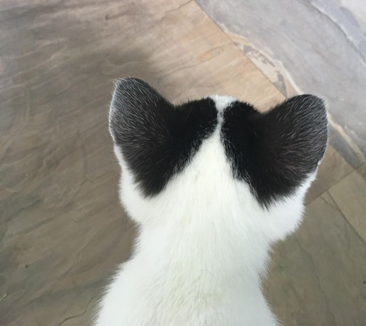 b2bf875457a0dbf0b4f4fd2212