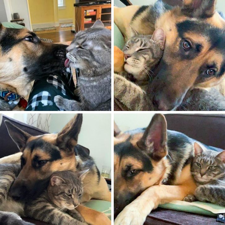 b2c3965388bb0548175bfbcfe4