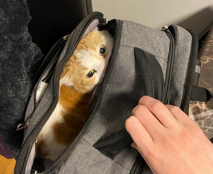 b2c91c50d1858376f3baf348b2