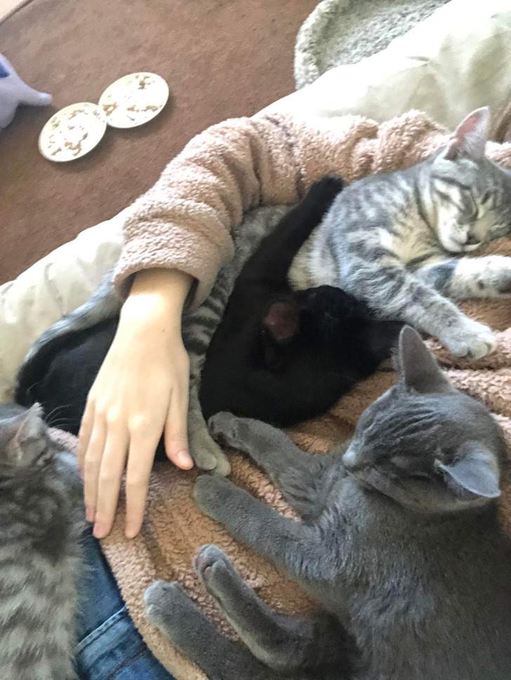 b2cbf05d52a1de38a16912aba0-1