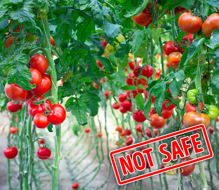 b2d2f4528dadac940a1ca328a6