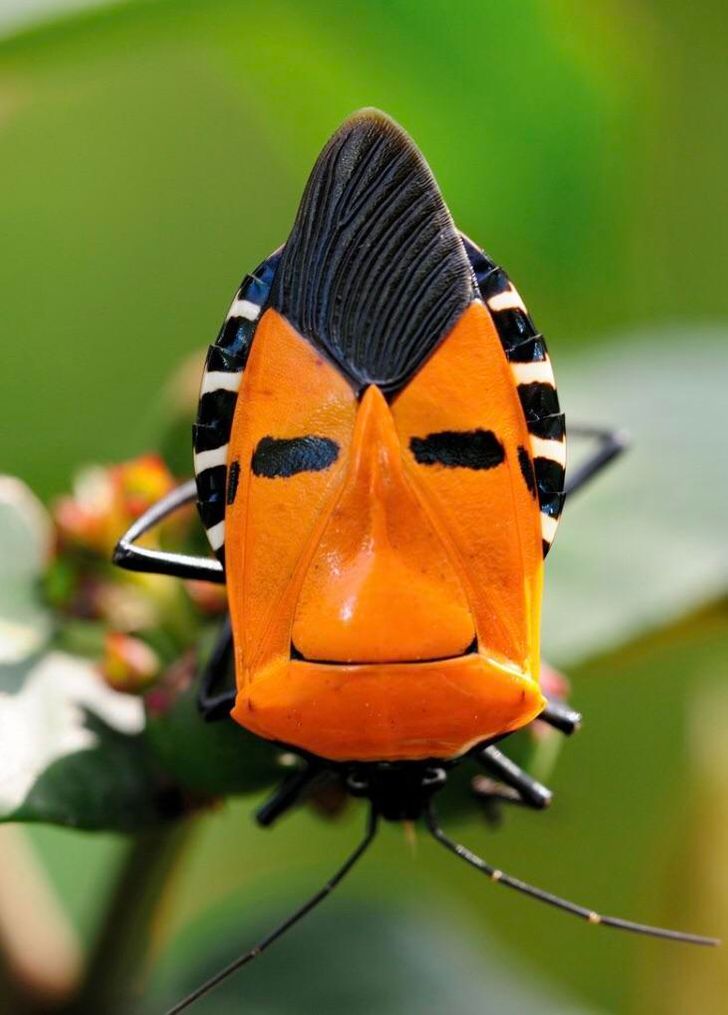 b2e14d5bf6835b7534d6b86dbb