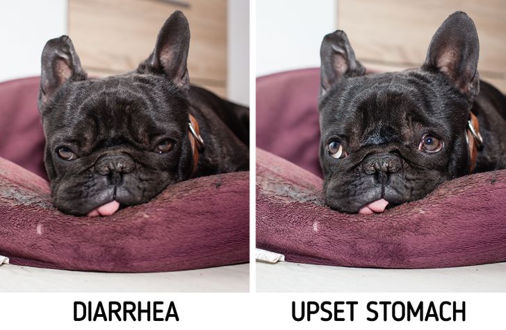 b2e9595afa8958e24e49d11bf8