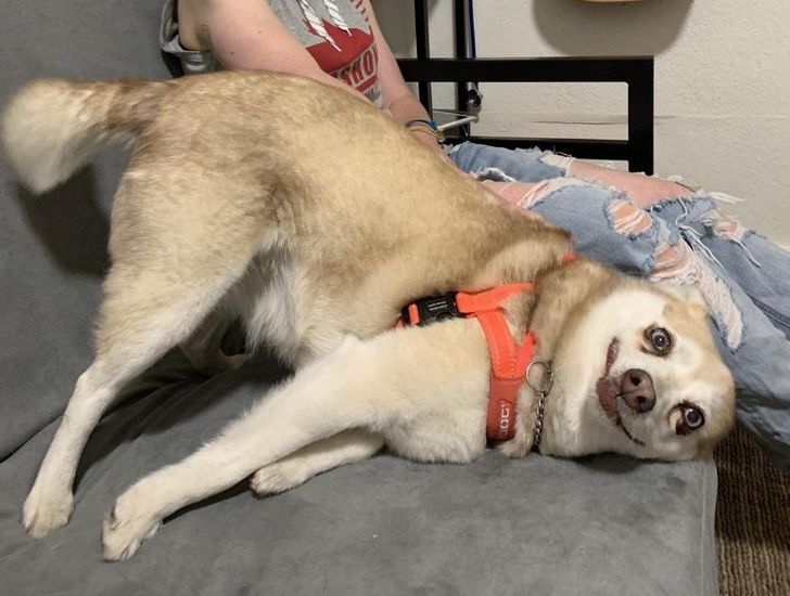 b2f13e5499997c80c993bb8dd8