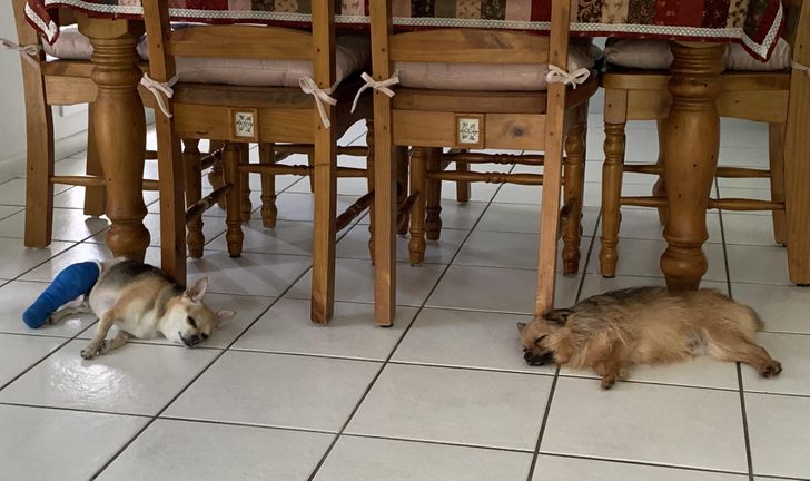 b2f2b355fca380d3f6bcccc678