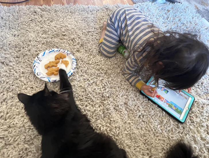 b2fd045cc4ae7f2081b7d732d7