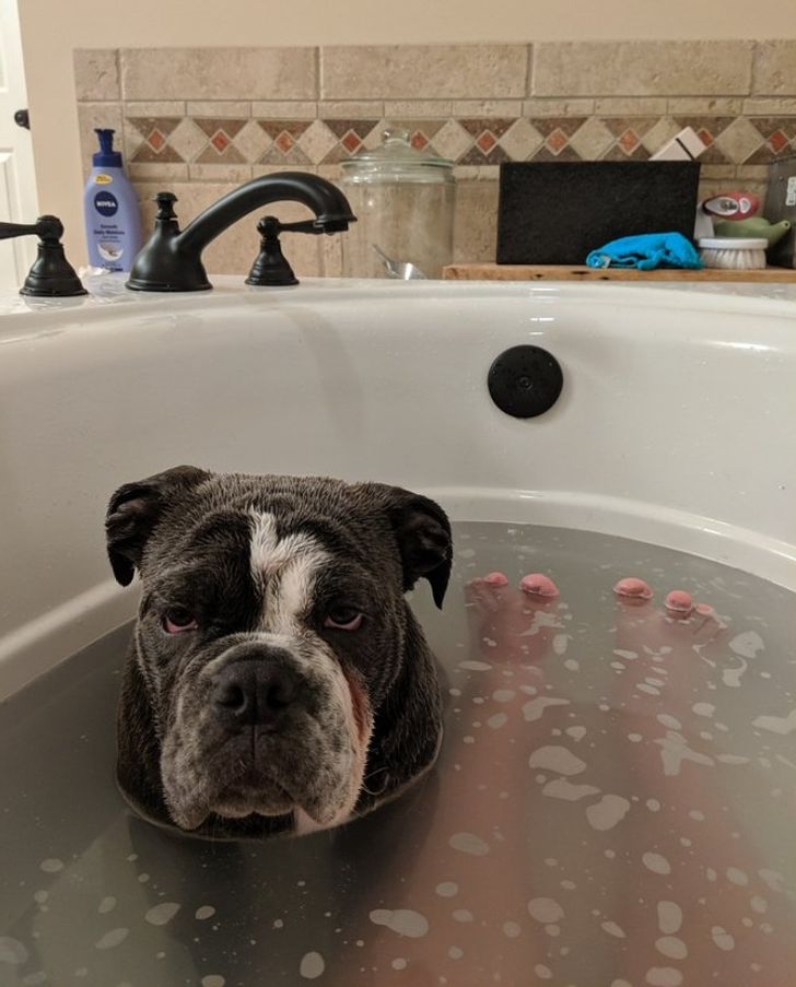 b2fd5954f6b3bbf87eca03813a