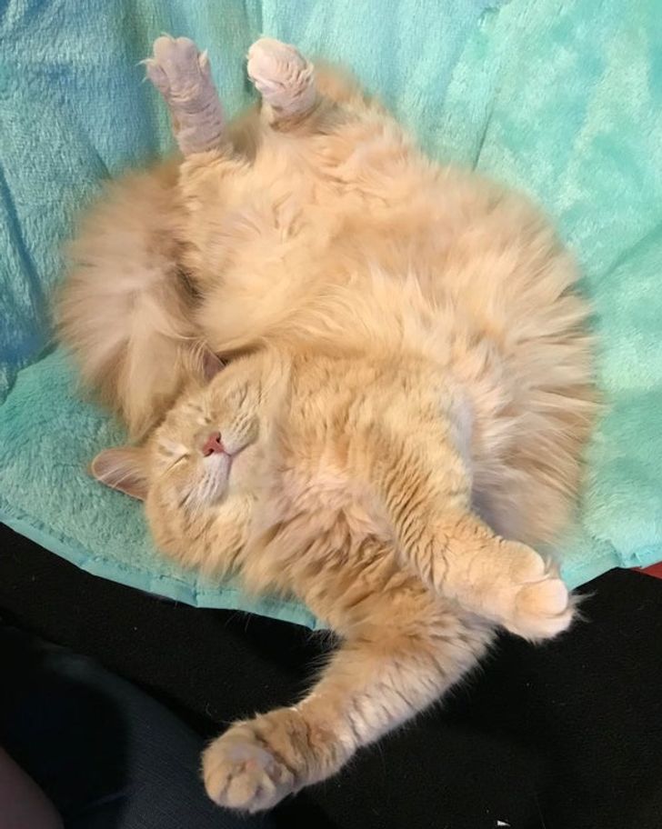 b300ef552988761830adfb6df4