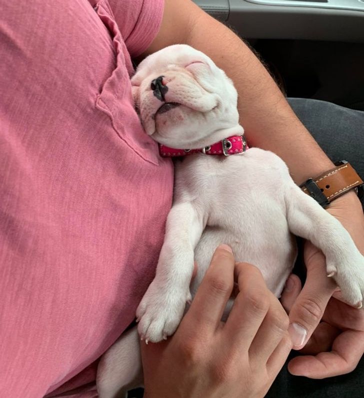 b314185e85a98af1a841be39ab