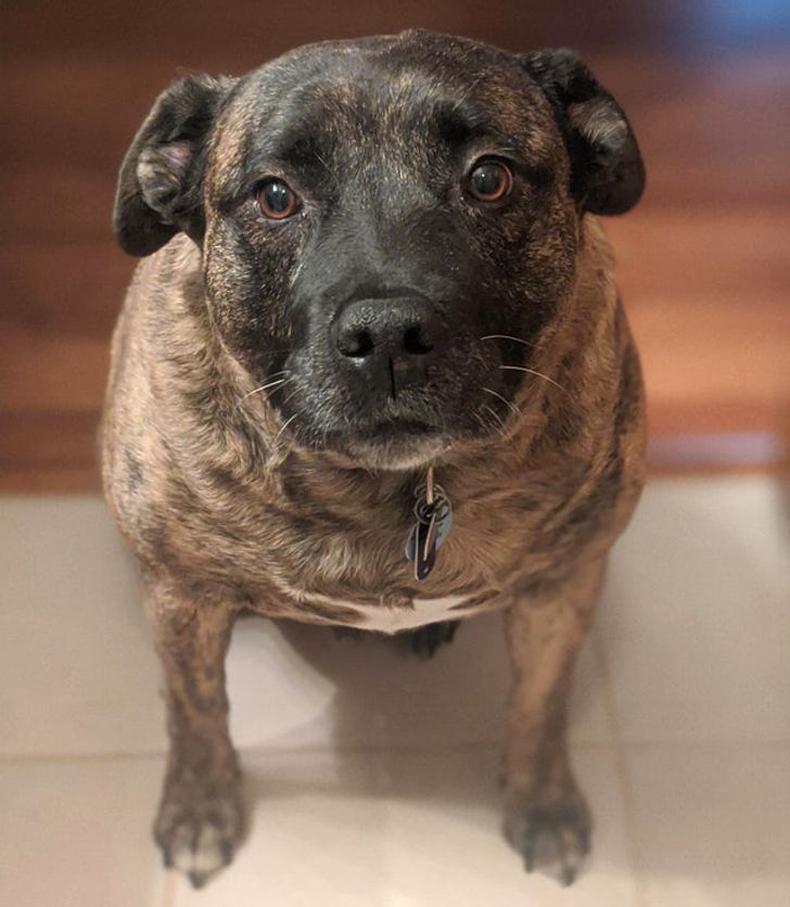 b3172756678df401e1c94d677d