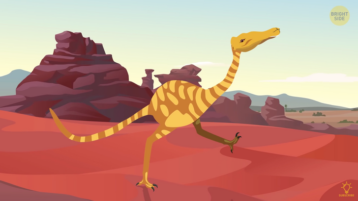 b3183f57b3842e0d8711f8c53e