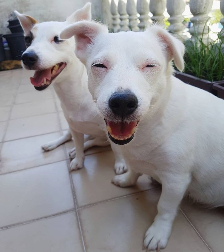 b31ea85d7dacb82b5c982a2ce3