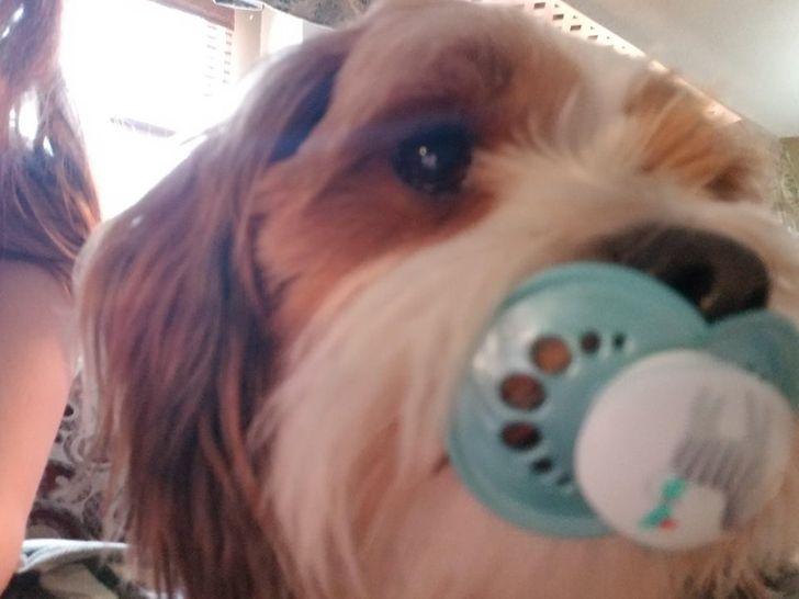 b325585c56b56adca11e36ab0c