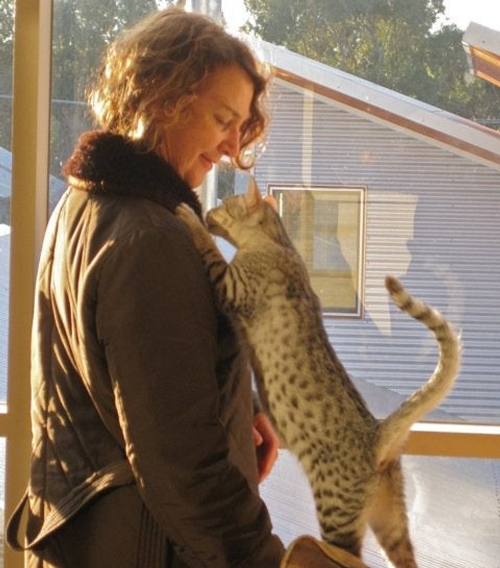 b328245ca3ad3cf450f3dc6cc4