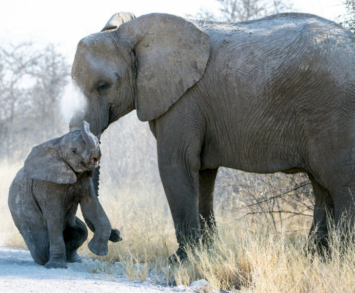 b331bf5aa9823a85bbb122c16f