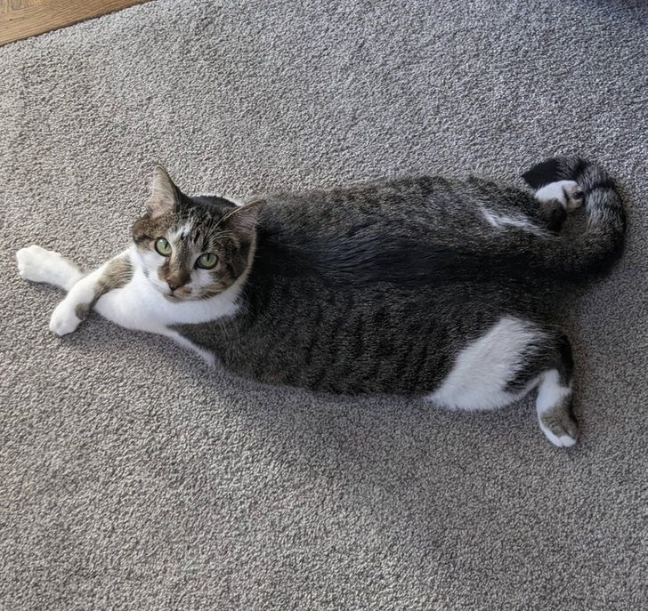 b331cb531582a5f4cabfea7b14