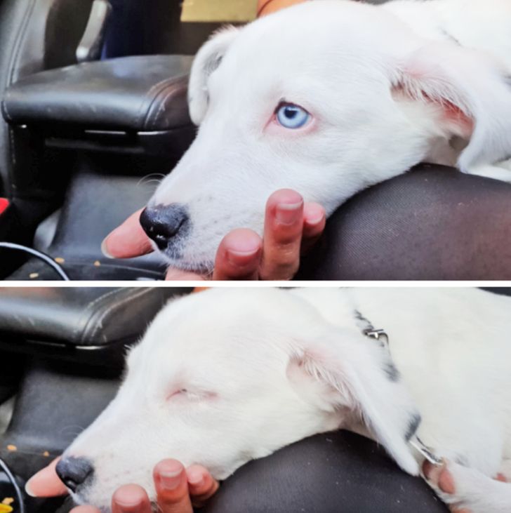 b33bd350b9aaecf1377b4d1b6f