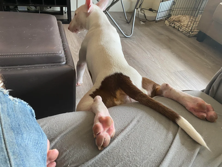 b33bd459728e4e00cb77eadd0d