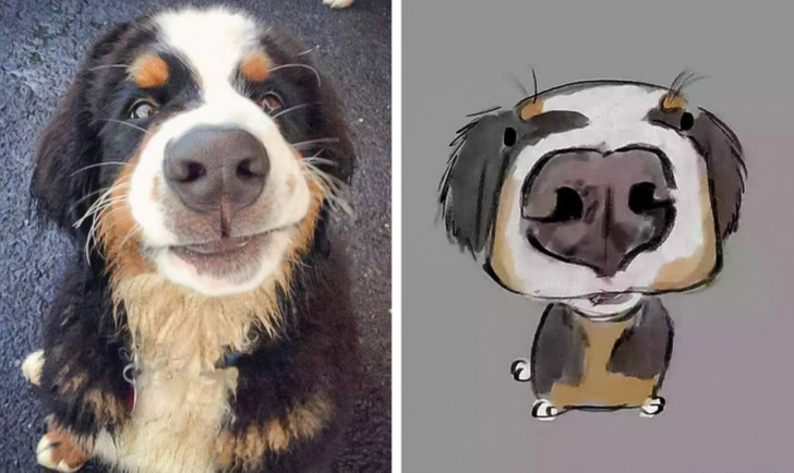 b350a857d89ba9eb2b801654fc