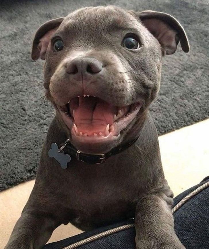 b3512e539ca2699d10d7d86957