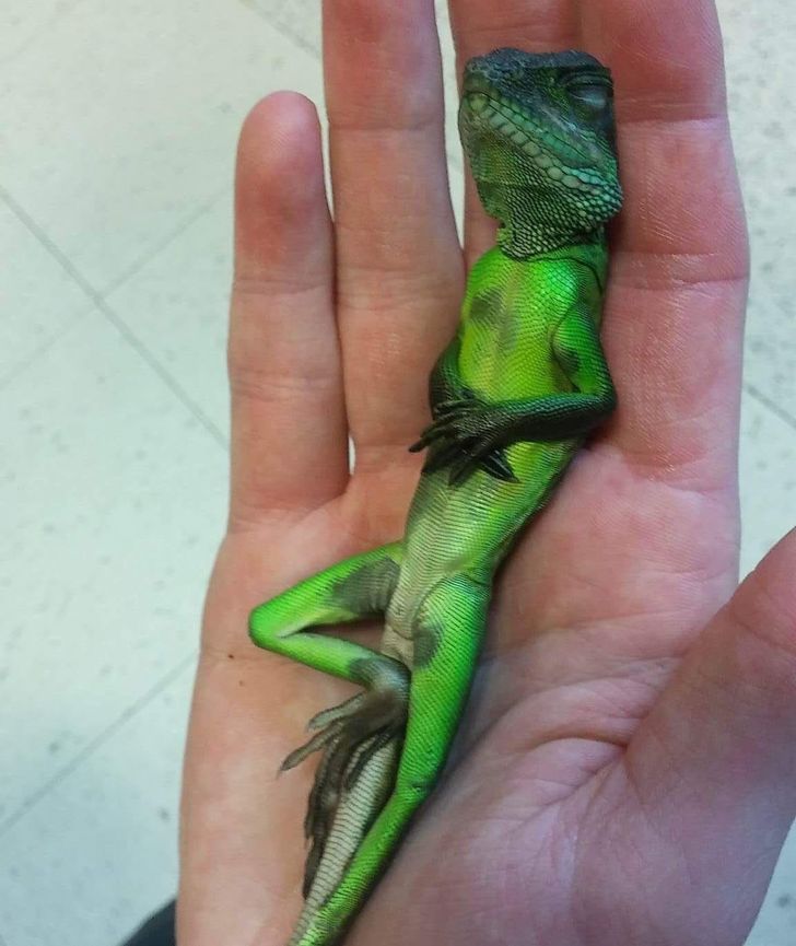 b353a35f4b80ebc04e6735e8e6 b353a35f4b80ebc04e6735e8e6