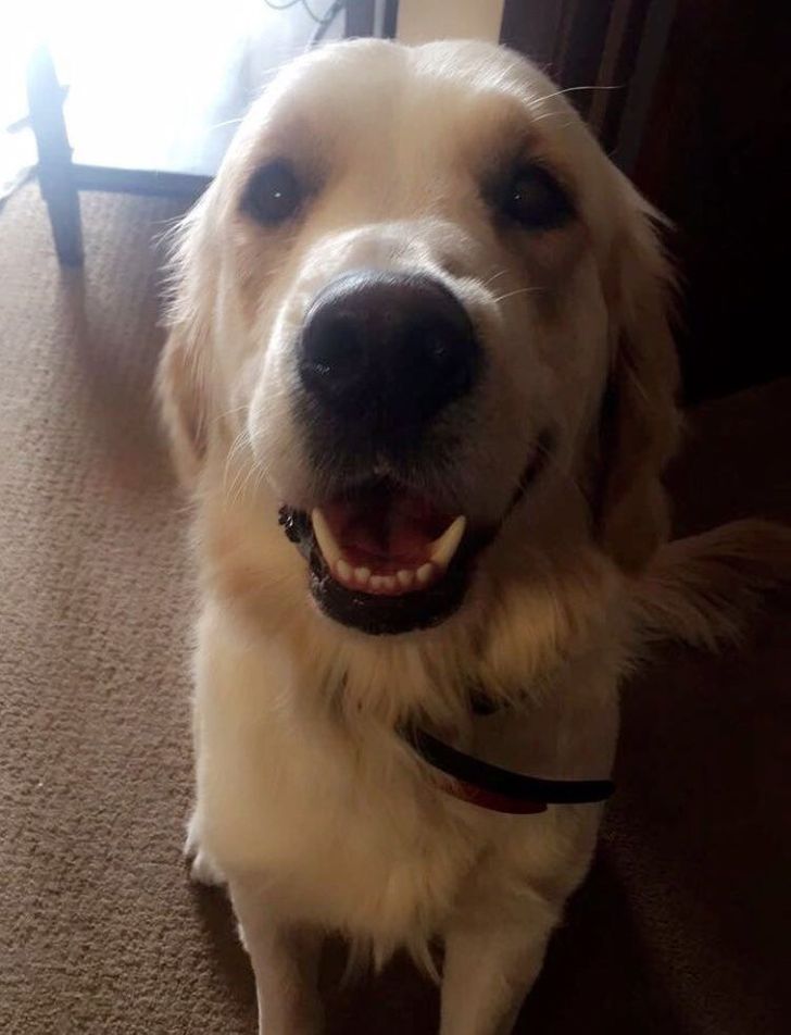 b35a9e5fada3860ff01243769b