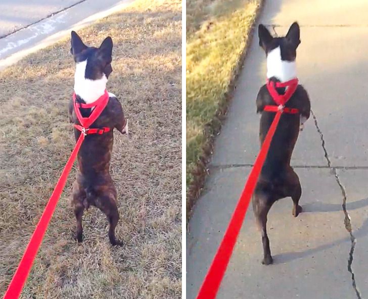 b35b675688b1f954277b743f86