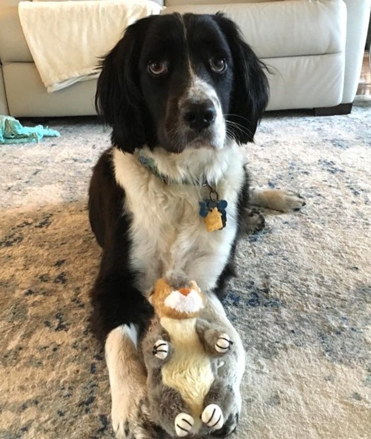 b3668d5ed6946dd72e12cac842 b3668d5ed6946dd72e12cac842