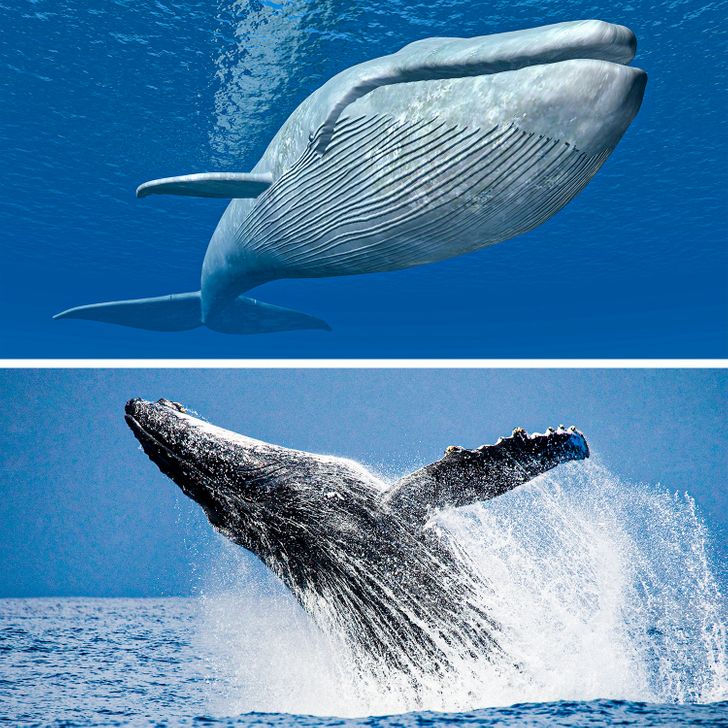 b369a25d078780e37d97ebf25a