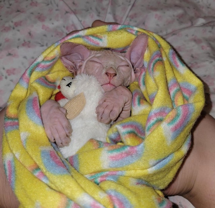 b36e3452d5a1e519974a7acfd1