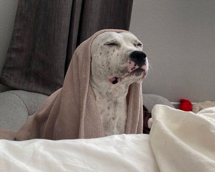 b372145b819bdcc2447e0ccd9b