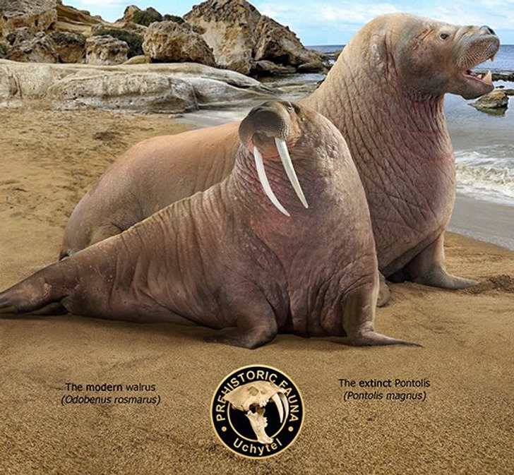 b37e595f4196f94feac267a7f7