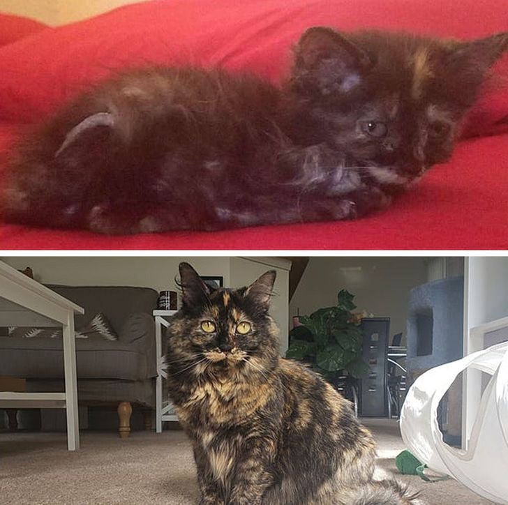 b390105179b52e8d94812ddc90