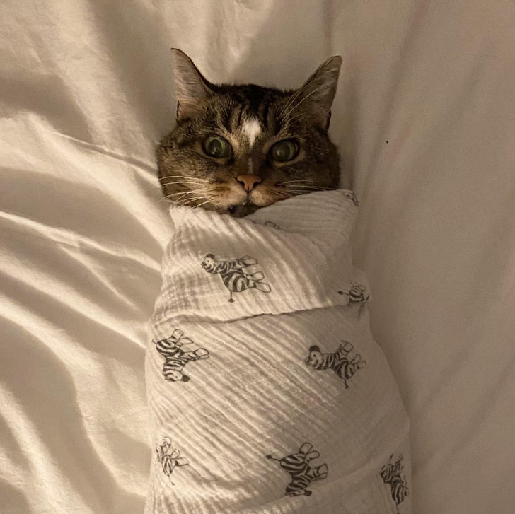 b3945c5954b59e673c3c7f1e0d