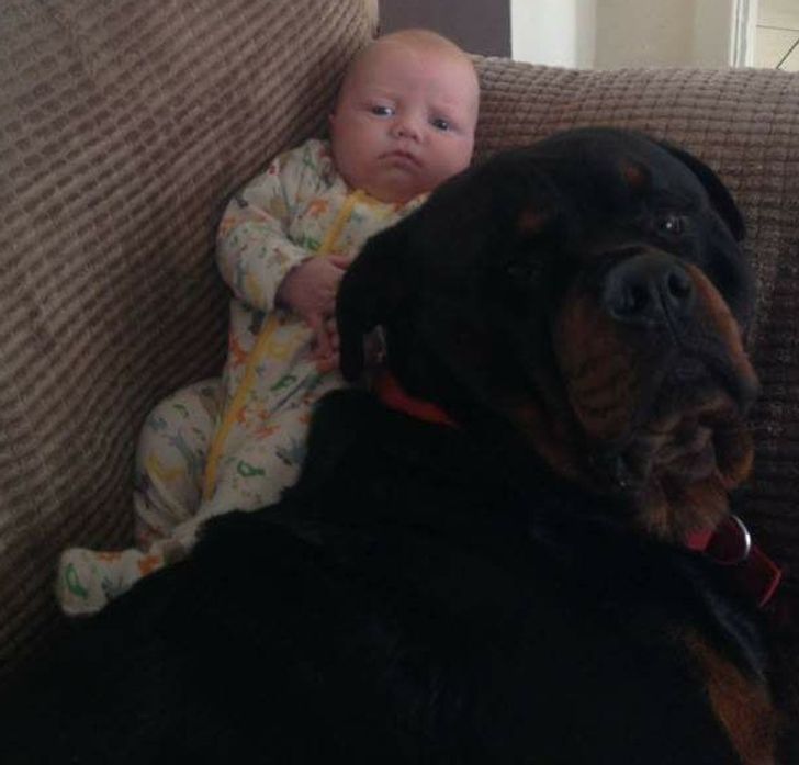 b395f853d8b309fe8e5e5667ad