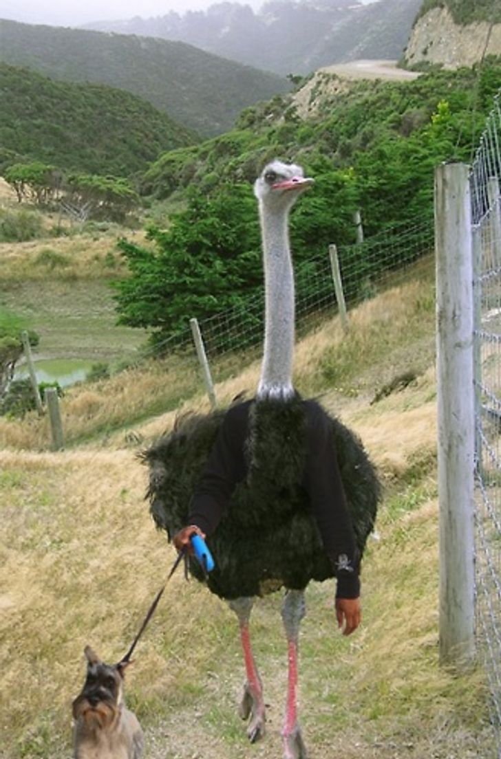 b3a1845be69e2208ca81e0fca9