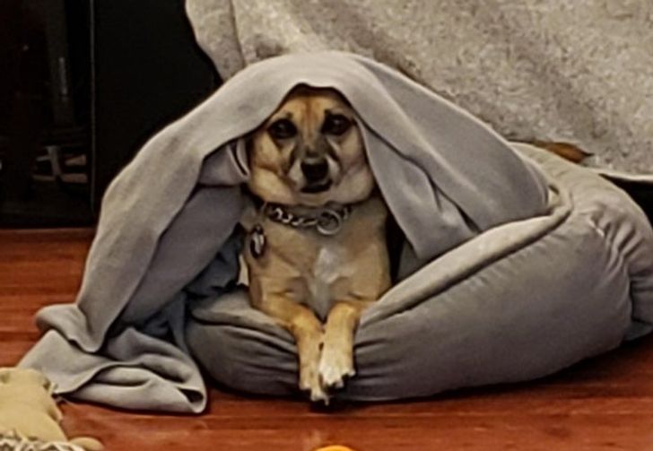 b3ac545eba9a2e88c91bb1f7ca