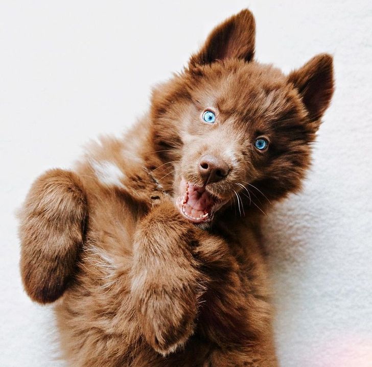 b3b7db5ecbb0e51aac1e9415e6