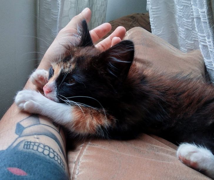 b3bc4f5c0fbfdf68c36373c65d